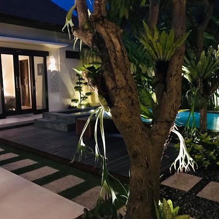 Villa Apanya Sanur المظهر الخارجي الصورة